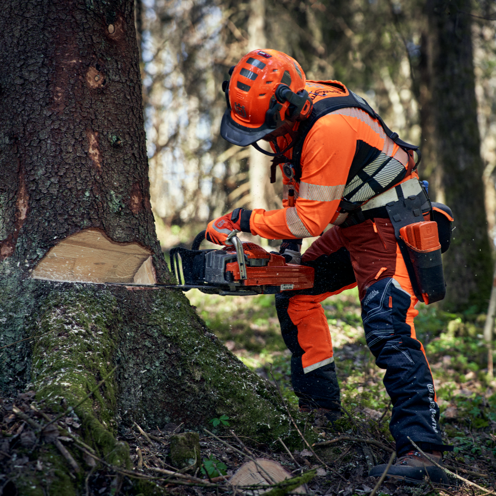 abbattimento 562xp motosega