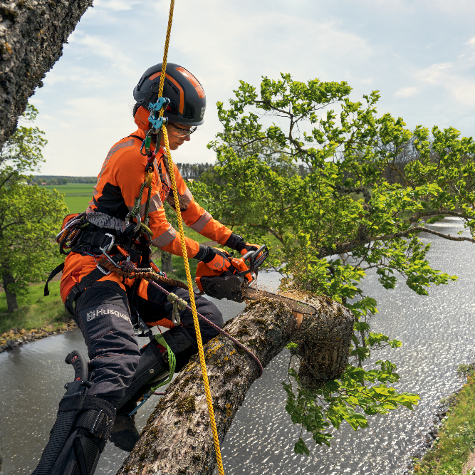 ragazza boscaiolo taglia ramo con motosega husqvarna