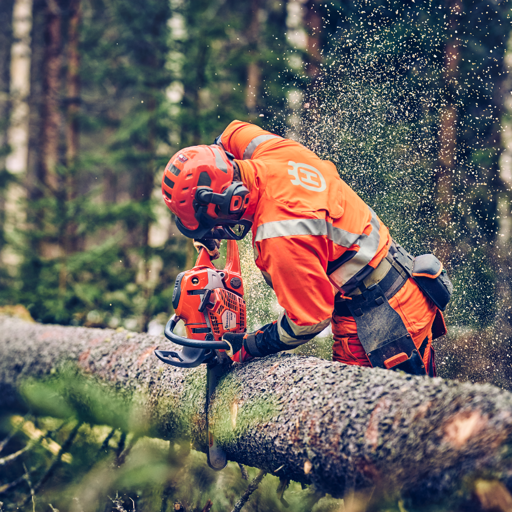 Motosega Professionale Husqvarna 560XP Mark II