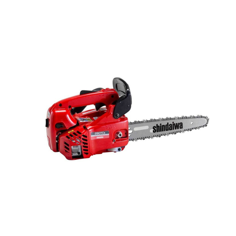 motosega carving per potatura