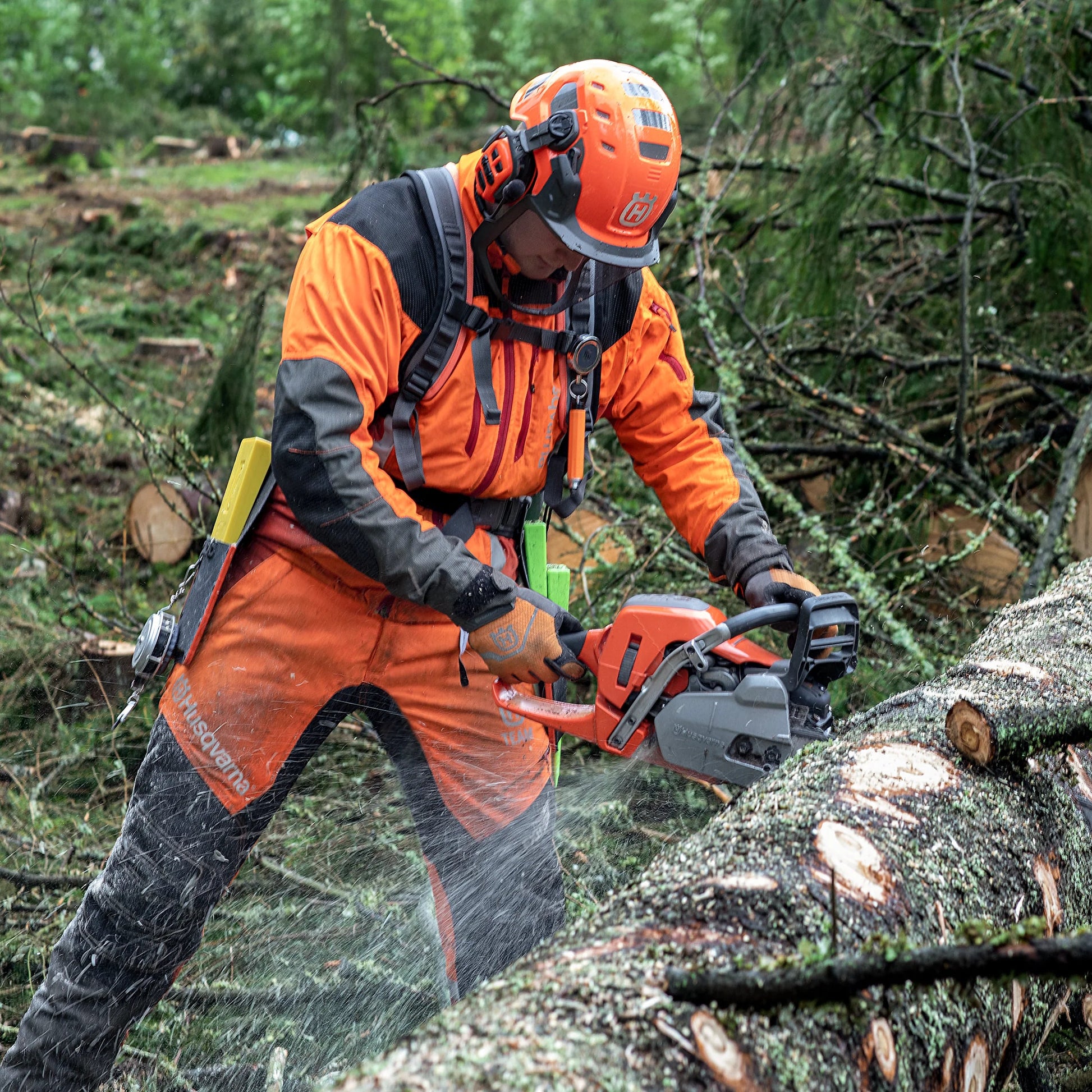 sezionatura con motosega 550XP