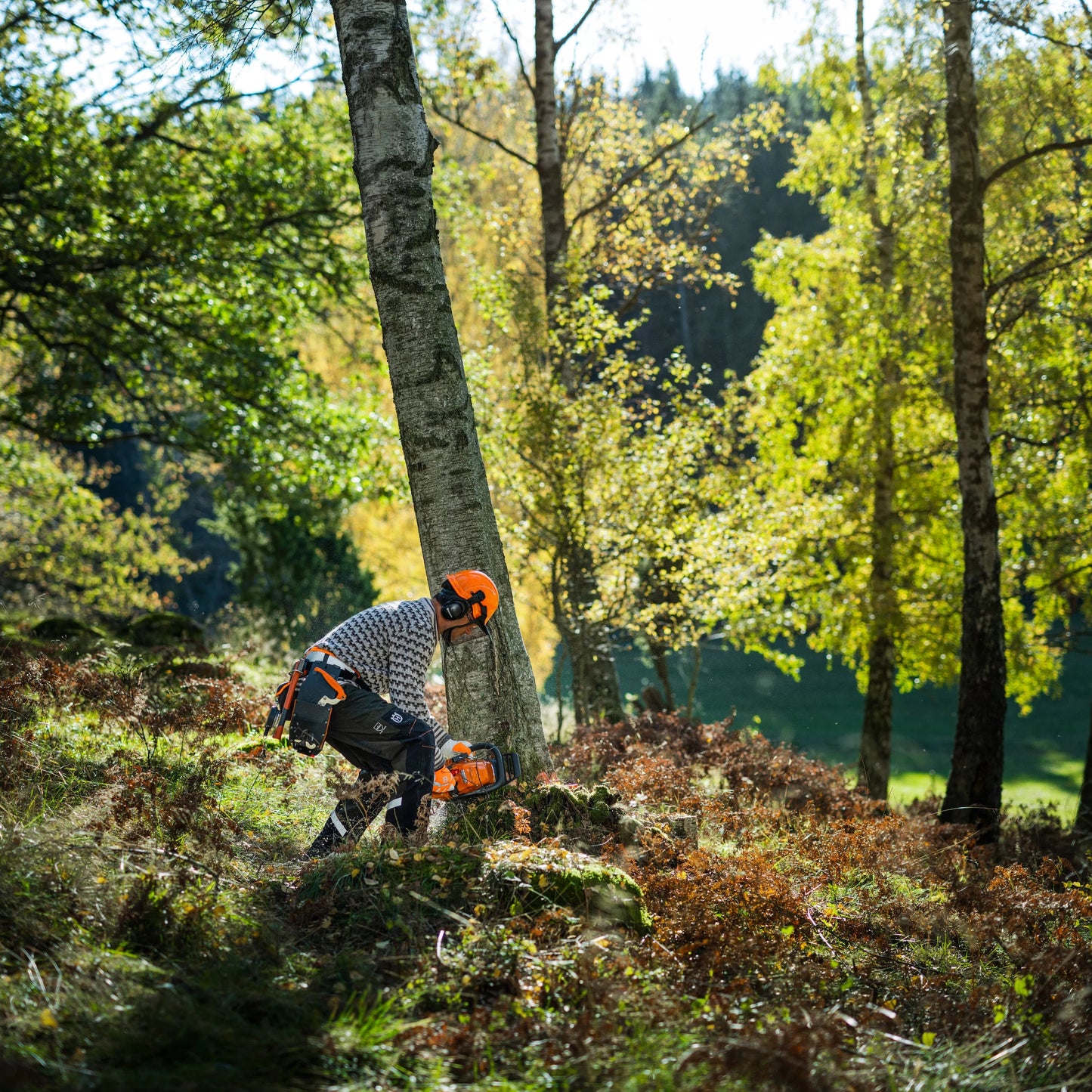 Motosega Semi-PRO Husqvarna 450S