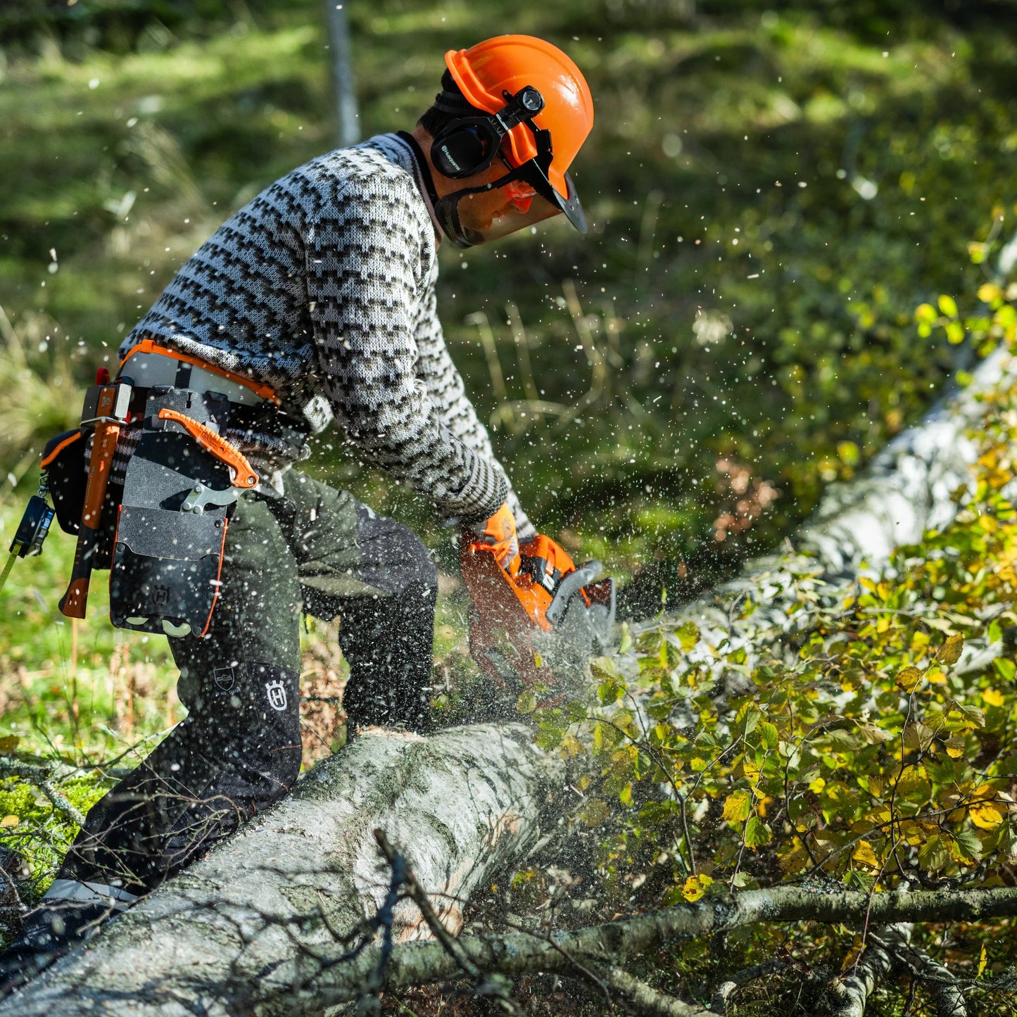 450s husqvarna nel bosco 