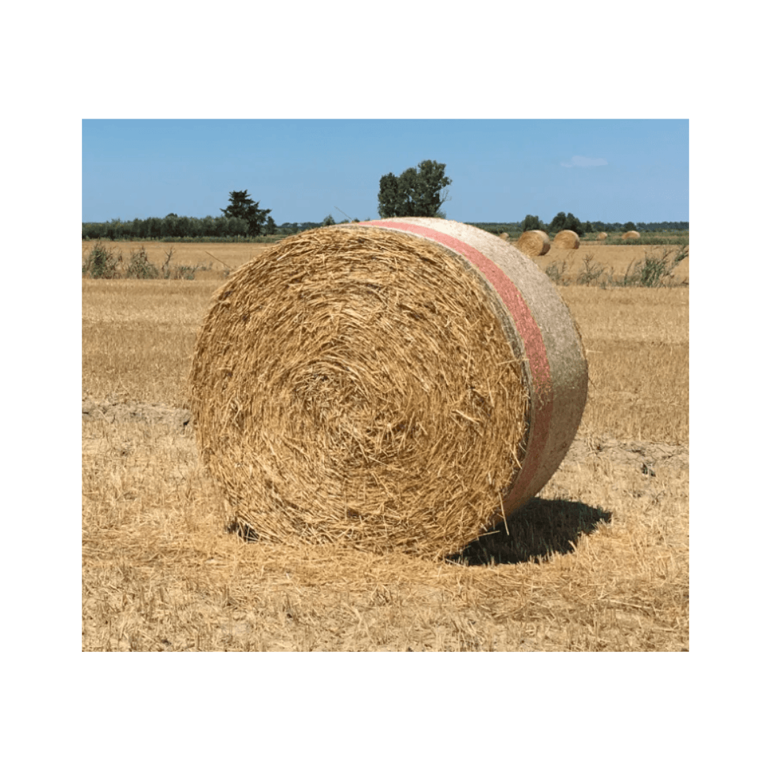 Rete Special Strong per Rotopresse 120cm
