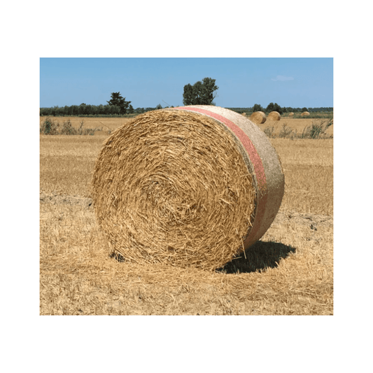 Rete Special Strong per Rotopresse 120cm